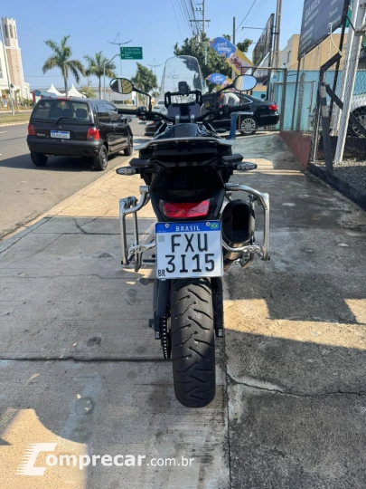 TIGER 900 GT PRO