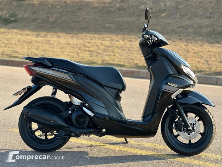 FLUO 125