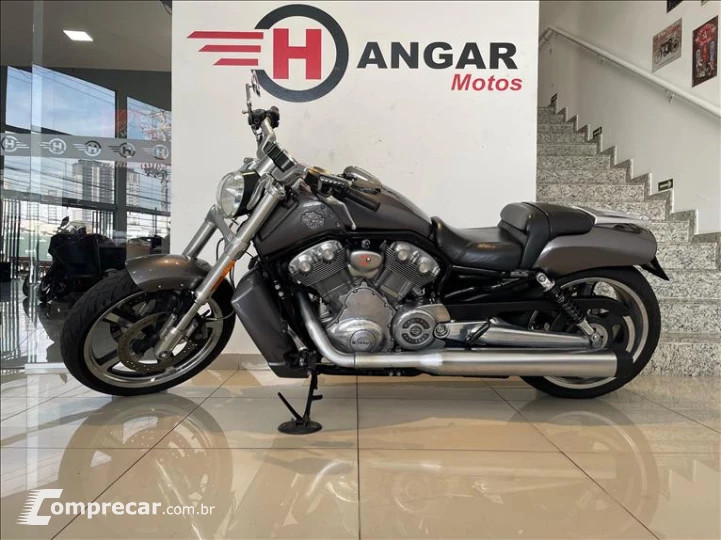 V-ROD MUSCLE