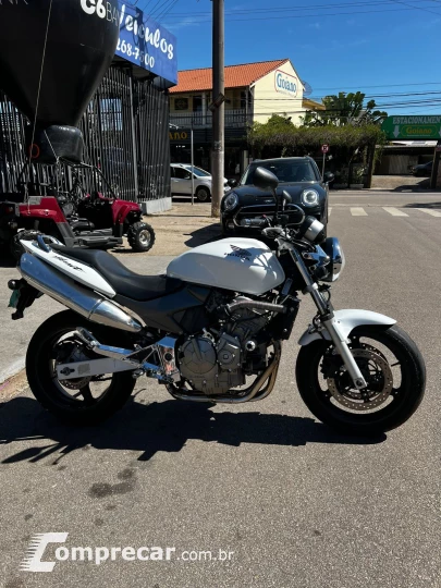 hornet 600