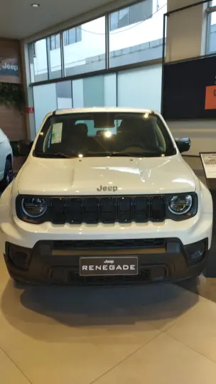 RENEGADE 1.3 T270 Turbo