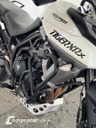 TIGER 800 XRXL