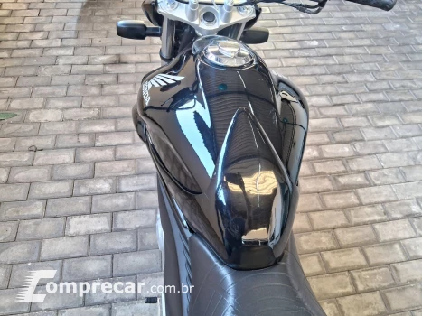 CB 300 R R FLEX