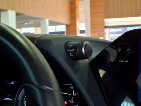 UX250H LUXURY