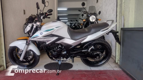 Yamaha YS 250 Fazer Blueflex