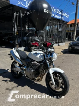hornet 600