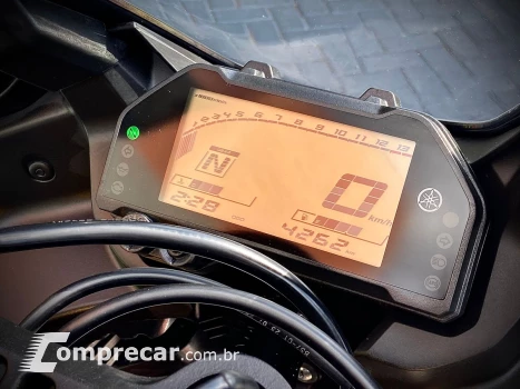 YZF R3 ABS MONSTER