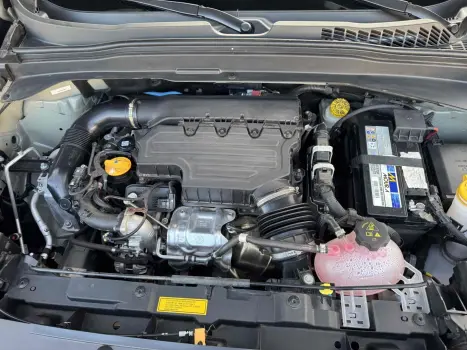 RENEGADE 1.3 T270 Turbo Night Eagle