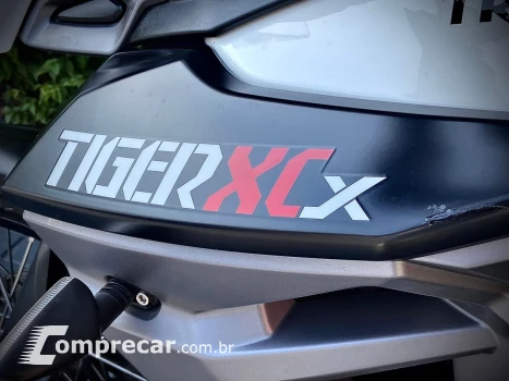 Triumph Tiger 800 XCX
