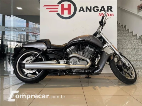 V-ROD MUSCLE