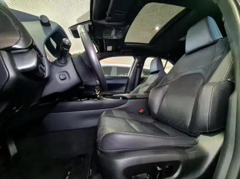 UX250H LUXURY