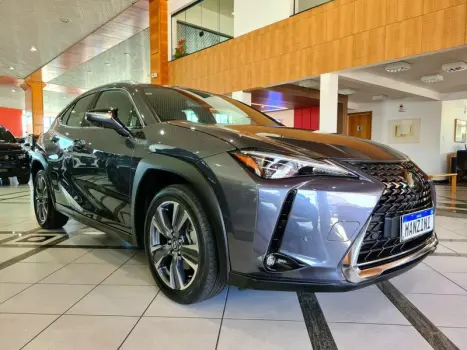 UX250H LUXURY