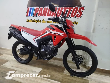 XR 300L 50 cc