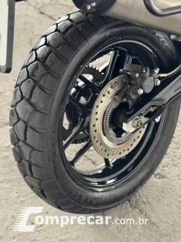 TIGER 800 XRXL