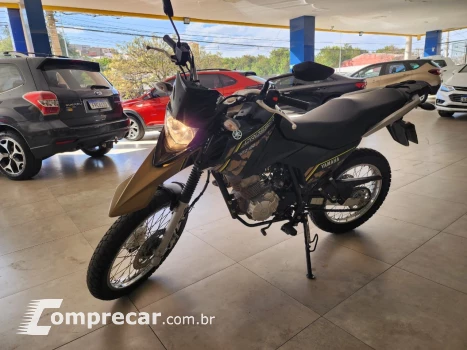 Yamaha XTZ XTZ 150 CROSSER Z FLEX