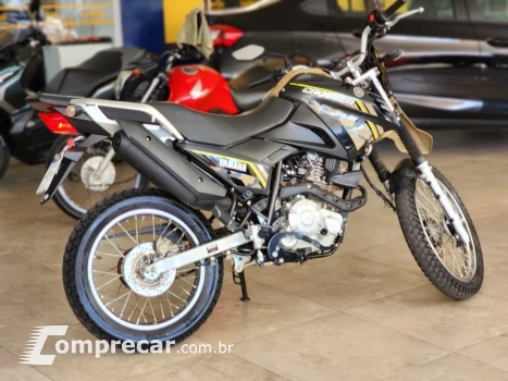 XTZ XTZ 150 CROSSER Z FLEX
