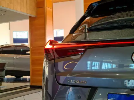 UX250H LUXURY