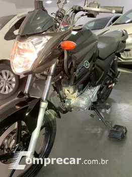 YS150 FAZER ED