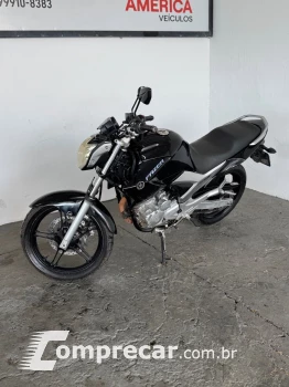 YS 250 FAZER/ FAZER L. EDITION /BLUEFLEX