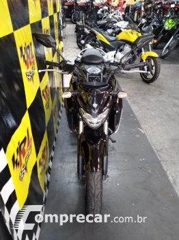 FZ25 fazer 250