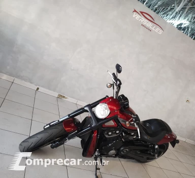 Night Rod Special 1250