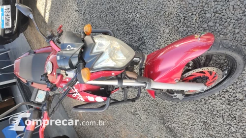 FAZER YS250