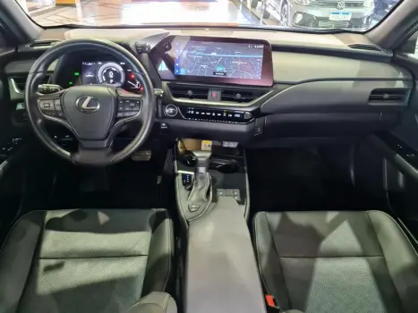 UX250H LUXURY