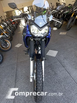 XTZ 250 TENERE/TENERE BLUEFLEX