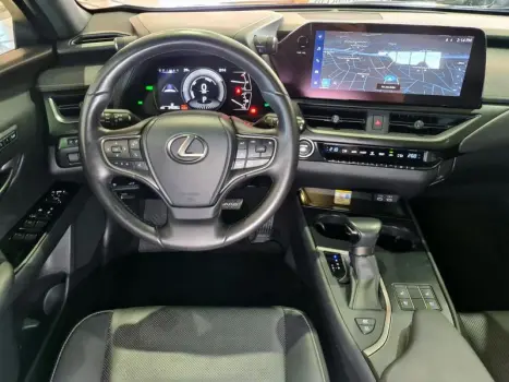 UX250H LUXURY