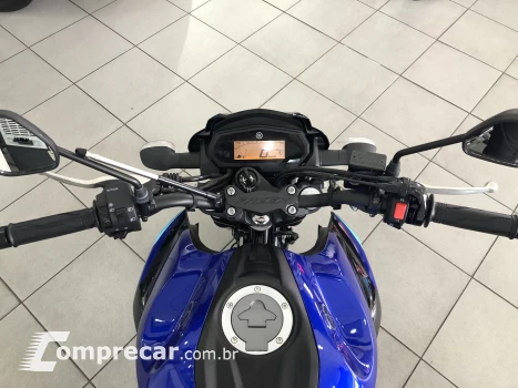 FZ25 FAZER