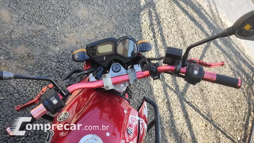 FAZER YS250