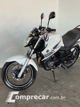 YS 250 FAZER/ FAZER L. EDITION /BLUEFLEX
