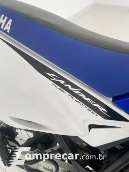 XTZ LANDER 250