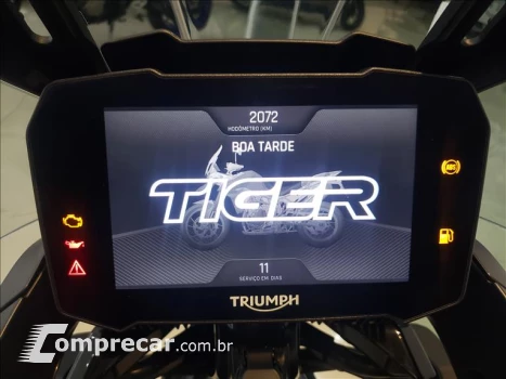 Triumph TIGER 900 GT PRO