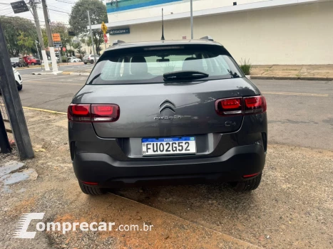 C4 Cactus