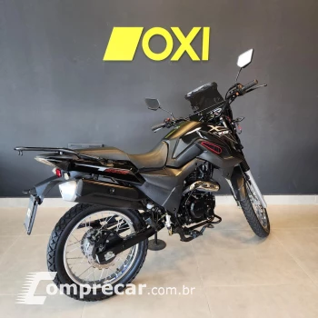 SHI 175