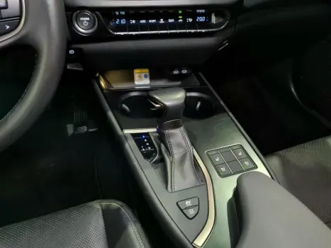 UX250H LUXURY