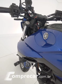 FAZER F25