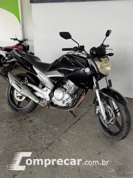 YS 250 FAZER/ FAZER L. EDITION /BLUEFLEX
