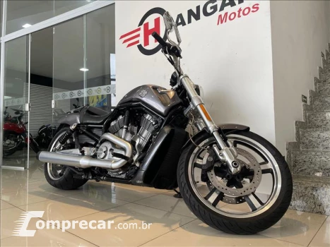 V-ROD MUSCLE