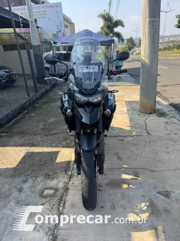 TIGER 900 GT PRO