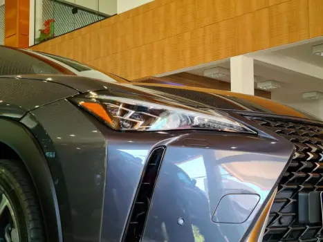 UX250H LUXURY