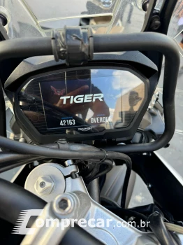 Triumph tiger 800