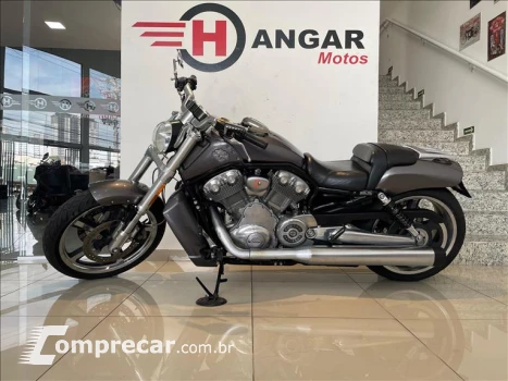 V-ROD MUSCLE
