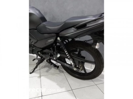 YS 150 FAZER SED - Street