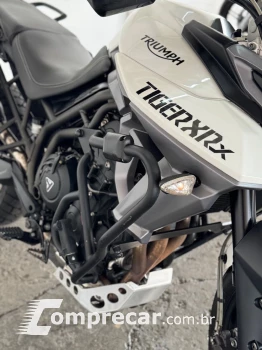 TIGER 800 XRXL